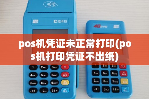 pos机凭证未正常打印(pos机打印凭证不出纸)