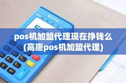 pos机加盟代理现在挣钱么(高唐pos机加盟代理)