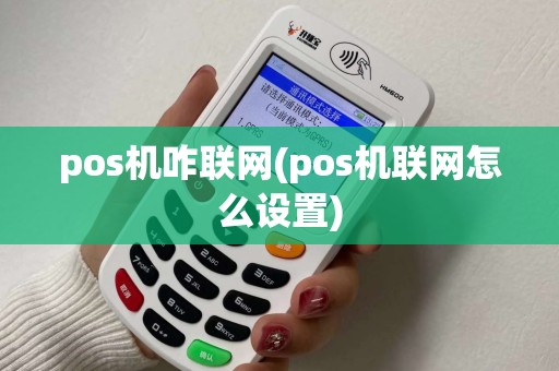 pos机咋联网(pos机联网怎么设置)
