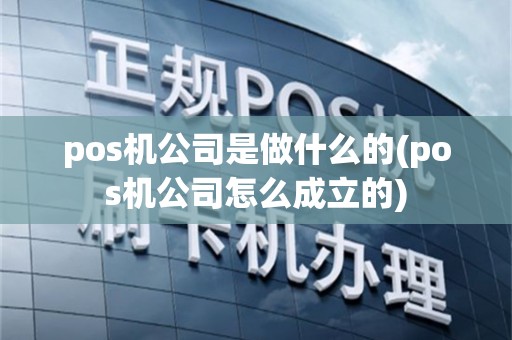 pos机公司是做什么的(pos机公司怎么成立的)