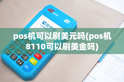 pos机可以刷美元吗(pos机8110可以刷美金吗)