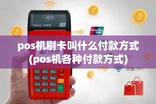pos机刷卡叫什么付款方式(pos机各种付款方式)