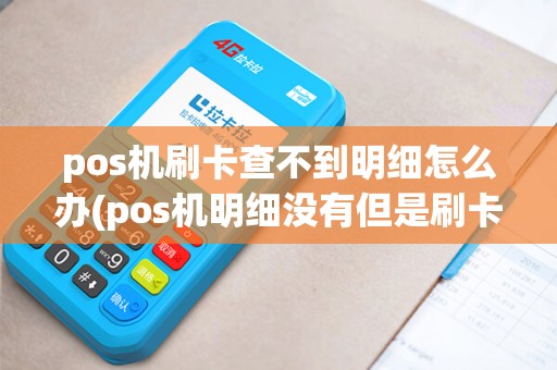 pos机刷卡查不到明细怎么办(pos机明细没有但是刷卡了)