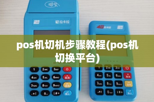 pos机切机步骤教程(pos机切换平台)