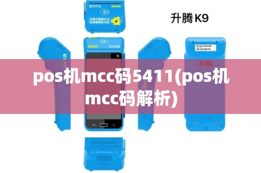 pos机mcc码5411(pos机mcc码解析)