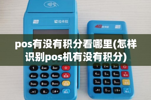 pos有没有积分看哪里(怎样识别pos机有没有积分)