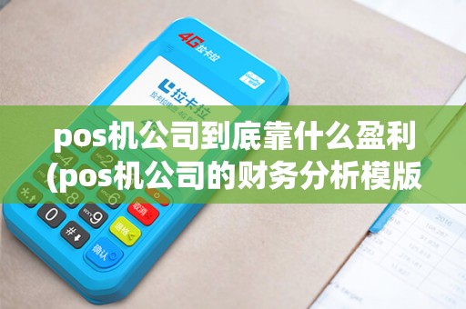 pos机公司到底靠什么盈利(pos机公司的财务分析模版)