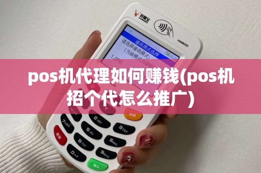 pos机代理如何赚钱(pos机招个代怎么推广)