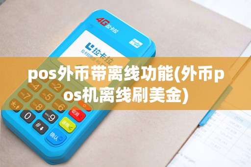 pos外币带离线功能(外币pos机离线刷美金)