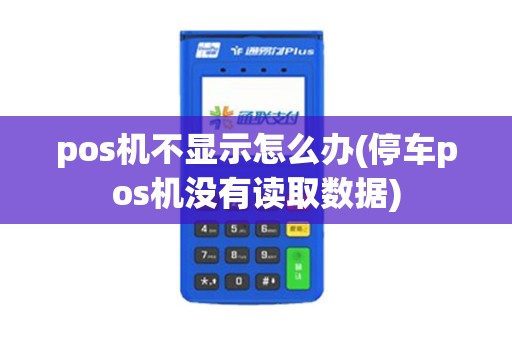 pos机不显示怎么办(停车pos机没有读取数据)