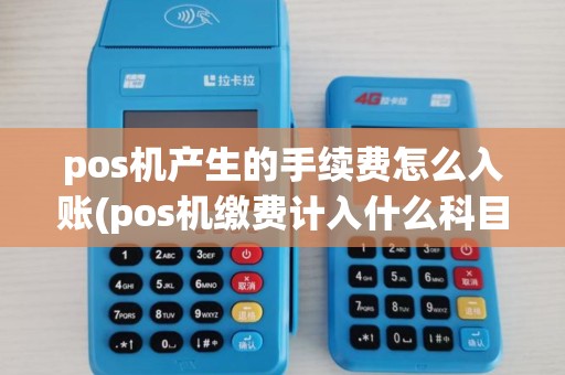 pos机产生的手续费怎么入账(pos机缴费计入什么科目)