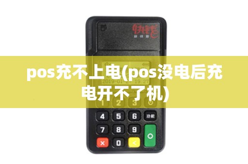 pos充不上电(pos没电后充电开不了机)