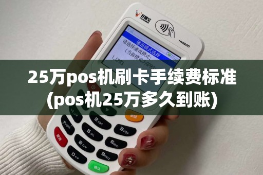 25万pos机刷卡手续费标准(pos机25万多久到账)