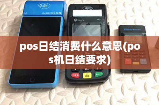 pos日结消费什么意思(pos机日结要求)