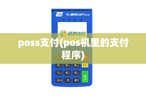 poss支付(pos机里的支付程序)