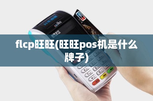 flcp旺旺(旺旺pos机是什么牌子)