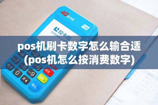 pos机刷卡数字怎么输合适(pos机怎么按消费数字)
