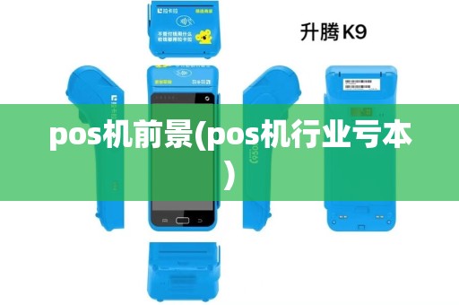pos机前景(pos机行业亏本)