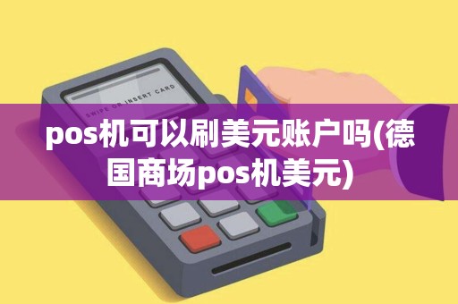 pos机可以刷美元账户吗(德国商场pos机美元)