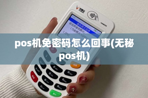 pos机免密码怎么回事(无秘pos机)