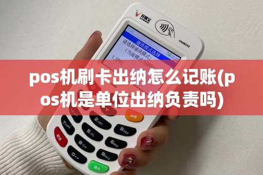 pos机刷卡出纳怎么记账(pos机是单位出纳负责吗)