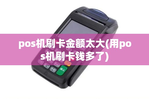 pos机刷卡金额太大(用pos机刷卡钱多了)