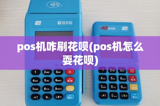 pos机咋刷花呗(pos机怎么耍花呗)