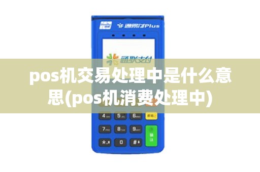 pos机交易处理中是什么意思(pos机消费处理中)