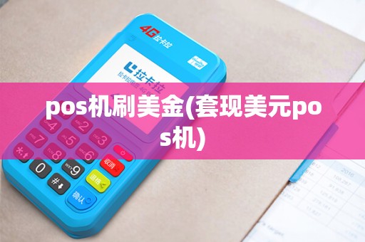 pos机刷美金(套现美元pos机)
