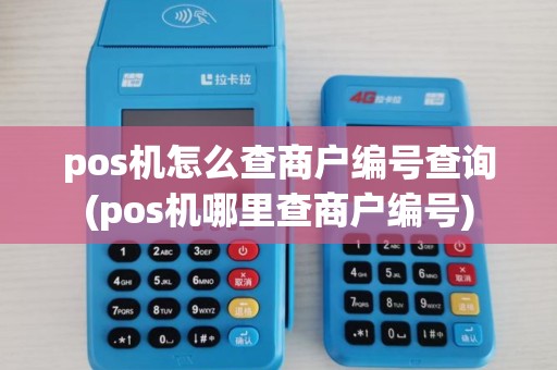 pos机怎么查商户编号查询(pos机哪里查商户编号)