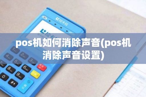 pos机如何消除声音(pos机消除声音设置)