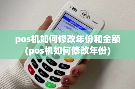 pos机如何修改年份和金额(pos机如何修改年份)