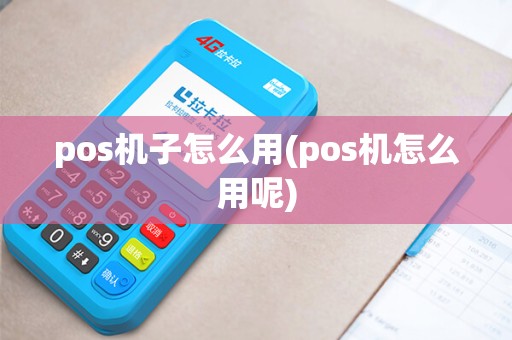pos机子怎么用(pos机怎么用呢)