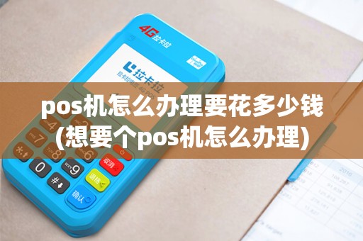 pos机怎么办理要花多少钱(想要个pos机怎么办理)