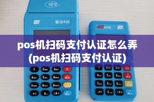 pos机扫码支付认证怎么弄(pos机扫码支付认证)