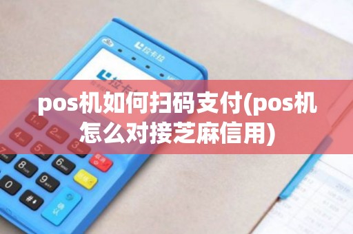 pos机如何扫码支付(pos机怎么对接芝麻信用)