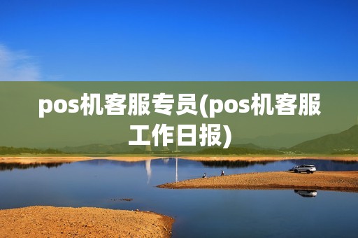 pos机客服专员(pos机客服工作日报)