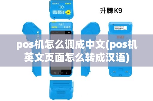pos机怎么调成中文(pos机英文页面怎么转成汉语)