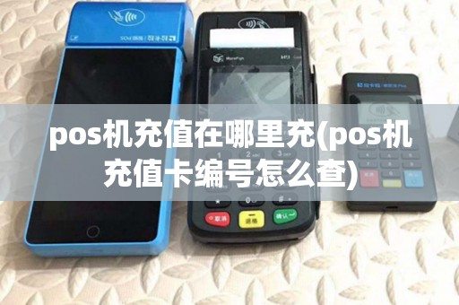 pos机充值在哪里充(pos机充值卡编号怎么查)
