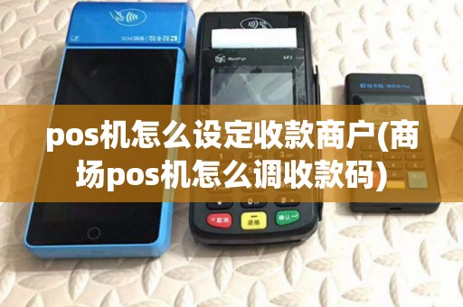 pos机怎么设定收款商户(商场pos机怎么调收款码)