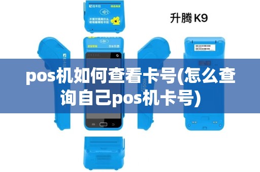 pos机如何查看卡号(怎么查询自己pos机卡号)