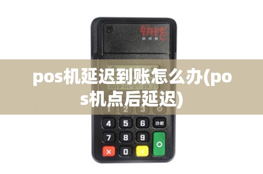 pos机延迟到账怎么办(pos机点后延迟)