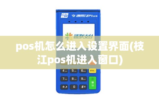 pos机怎么进入设置界面(枝江pos机进入窗口)
