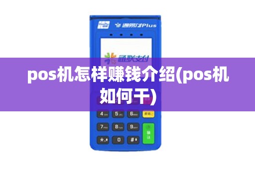 pos机怎样赚钱介绍(pos机如何干)