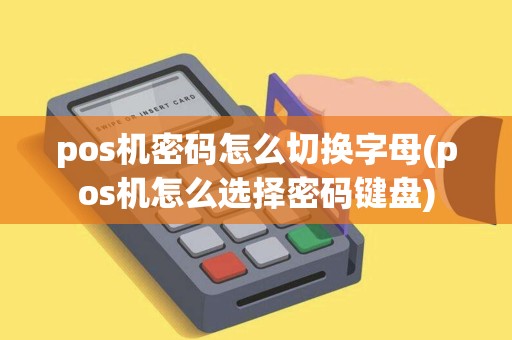 pos机密码怎么切换字母(pos机怎么选择密码键盘)