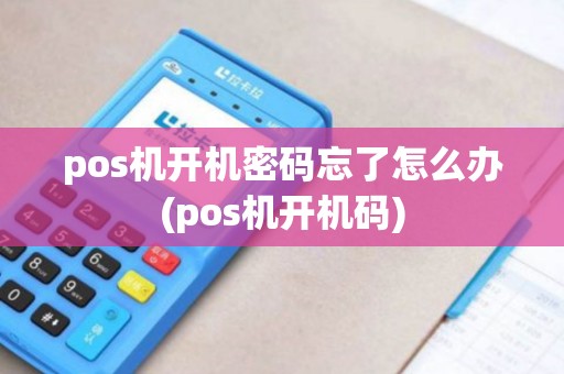 pos机开机密码忘了怎么办(pos机开机码)