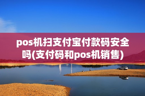 pos机扫支付宝付款码安全吗(支付码和pos机销售)
