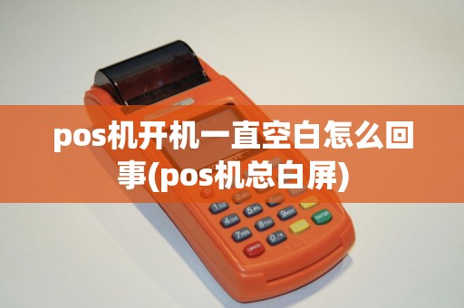 pos机开机一直空白怎么回事(pos机总白屏)