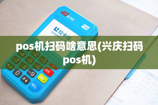 pos机扫码啥意思(兴庆扫码pos机)