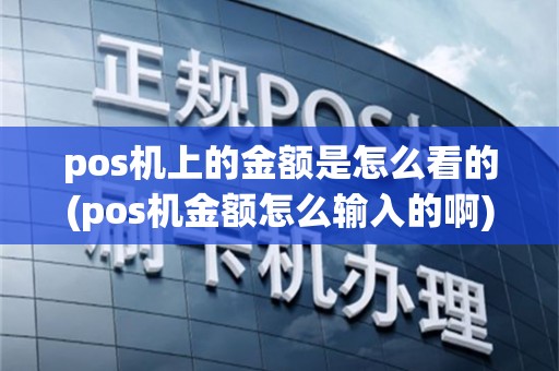 pos机上的金额是怎么看的(pos机金额怎么输入的啊)